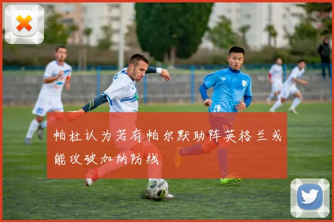 帕杜认为若有帕尔默助阵英格兰或能攻破加纳防线
