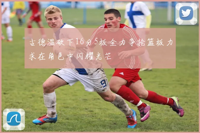 古德温砍下16分5板全力争抢篮板力求在角色中闪耀光芒